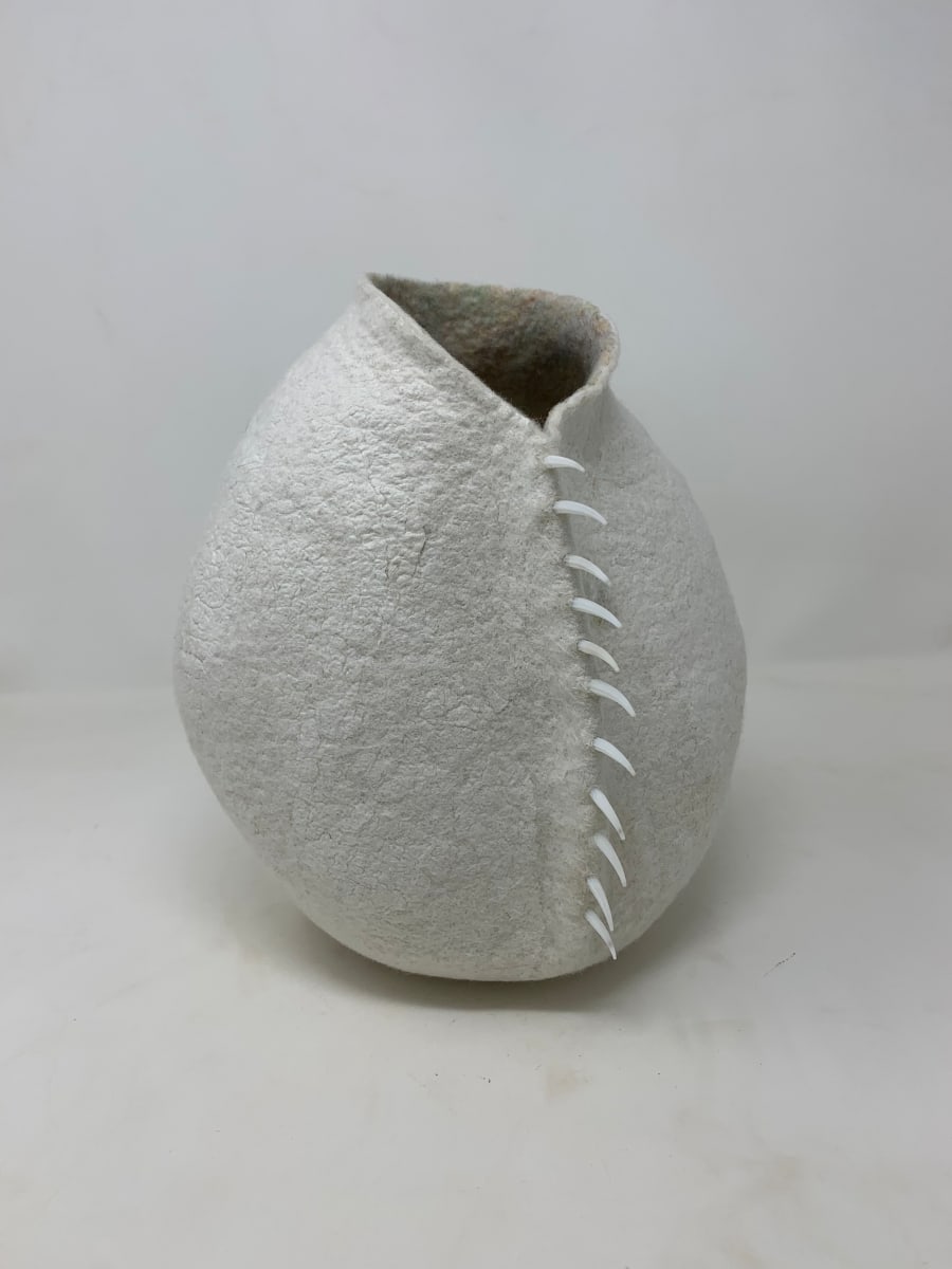 The White Album, One Wing by Alana Clearlake  Image: The White Album, One Wing