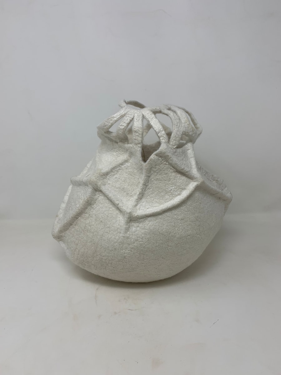 #5, The White Album by Alana Clearlake 