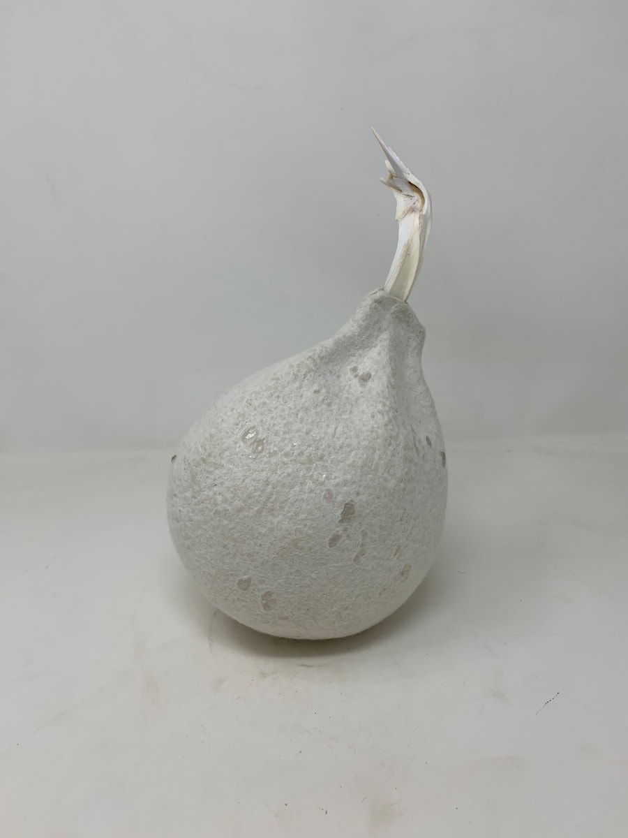 The White Album, #7 by Alana Clearlake 