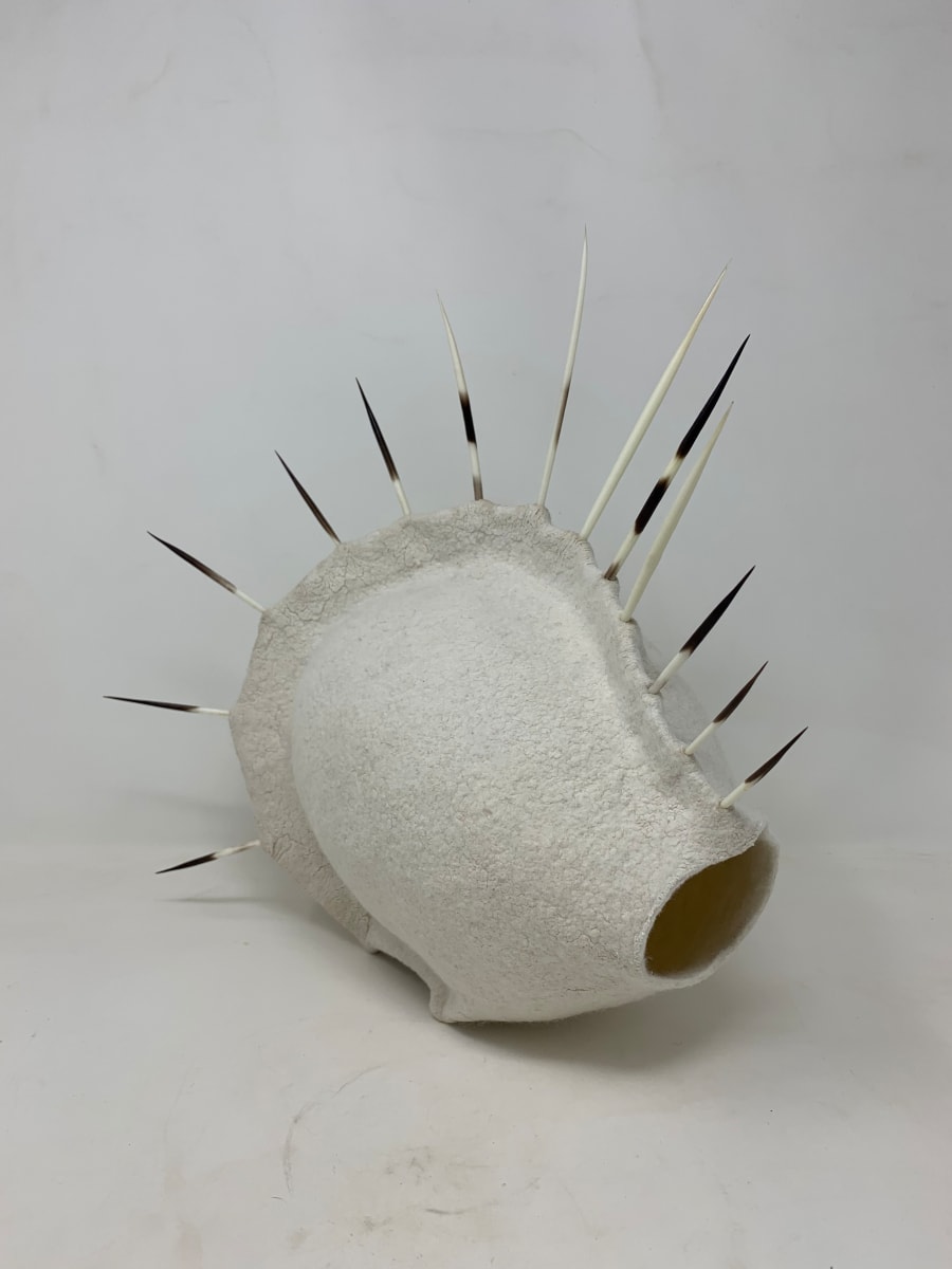 The White Album, Porcupine by Alana Clearlake  Image: The White Album, Porcupine