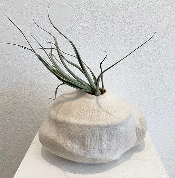 White Series: #28 by Alana Clearlake 