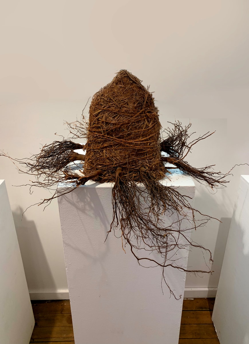 Root Home by Lisa Kaplan  Image: Root Home