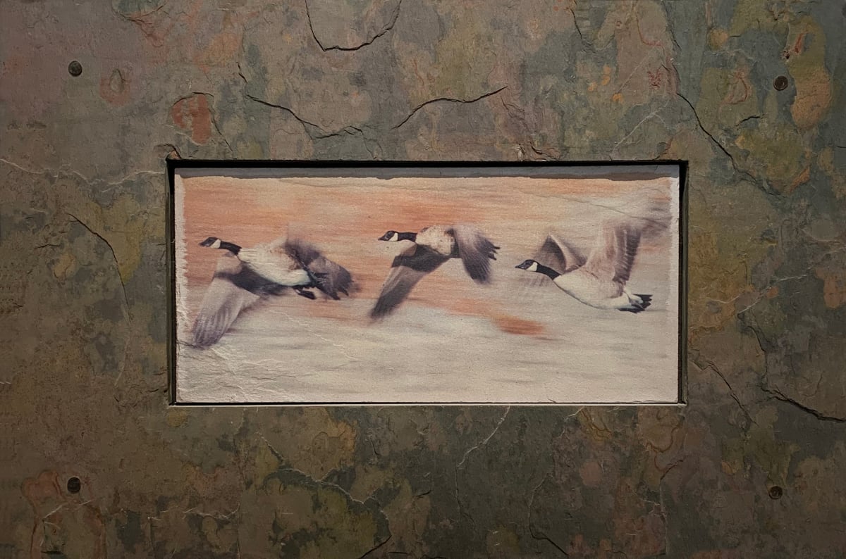 Wild Geese by Becky Jaffee  Image: Wild Geese