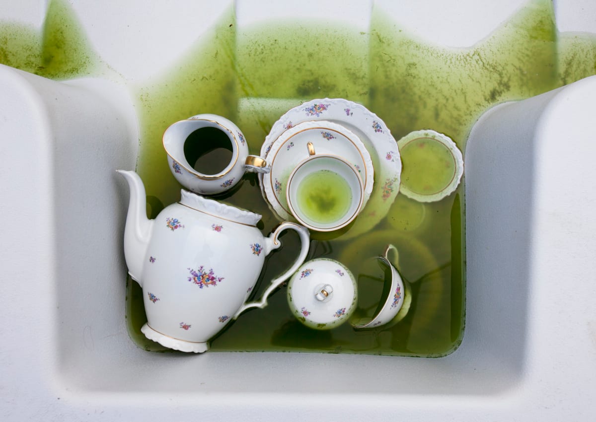 Tea at the Lake by Yelena  Zhavoronkova 