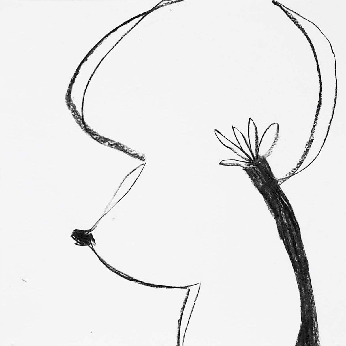 Formas 