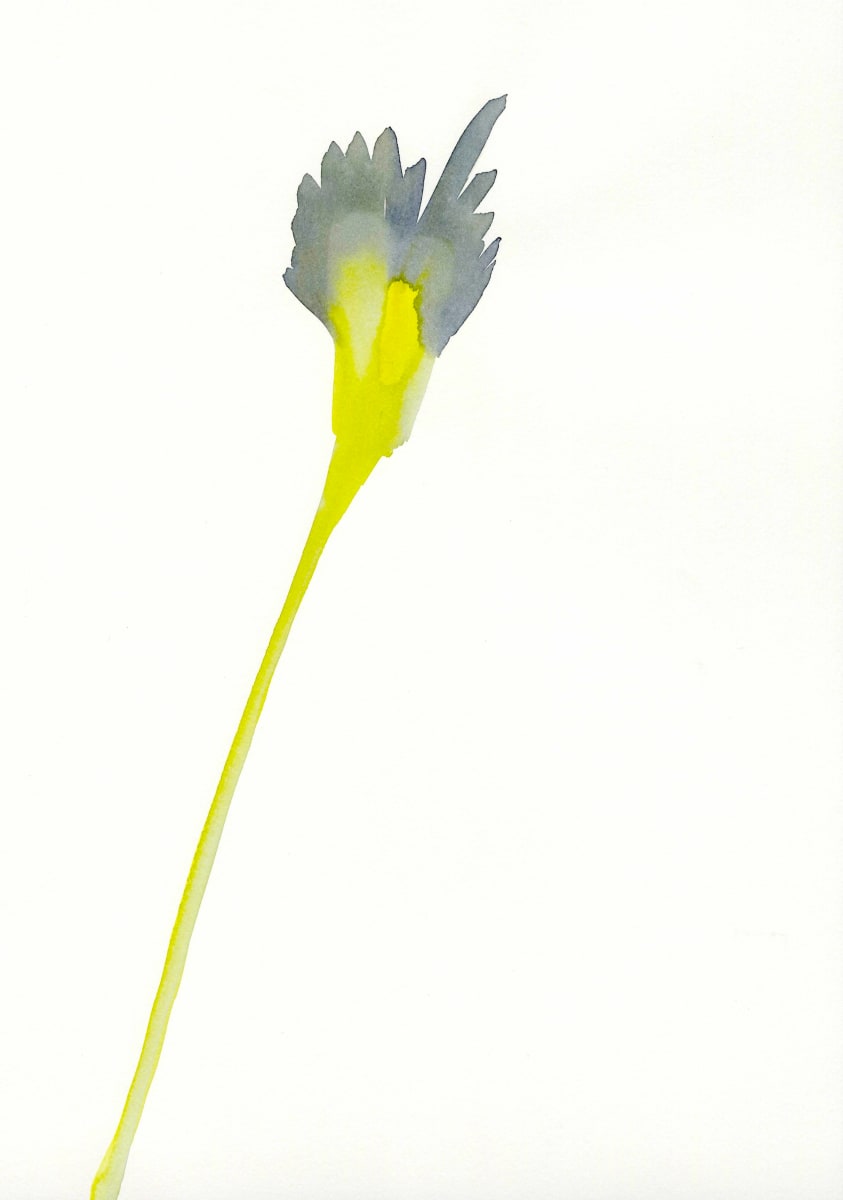 Flowers (Grey, yellow) 