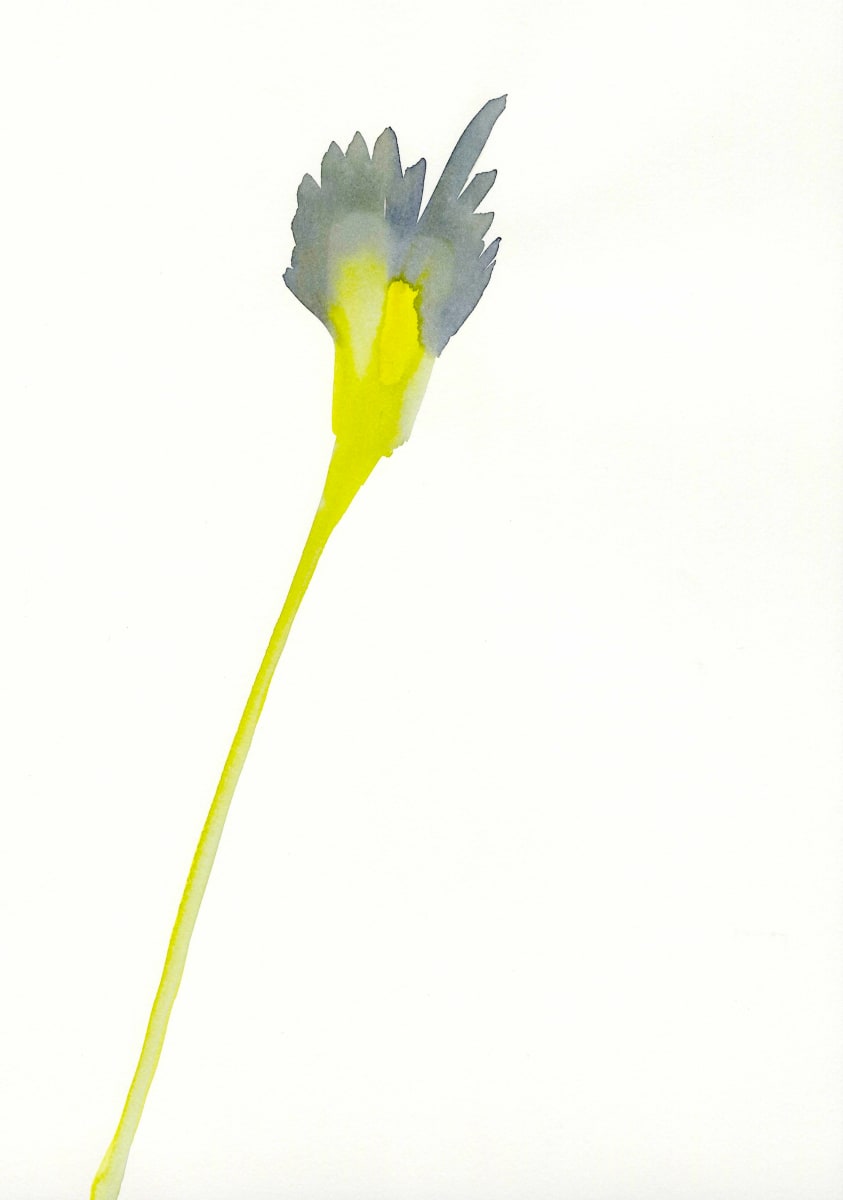 Flowers (Grey, yellow), Image 1.