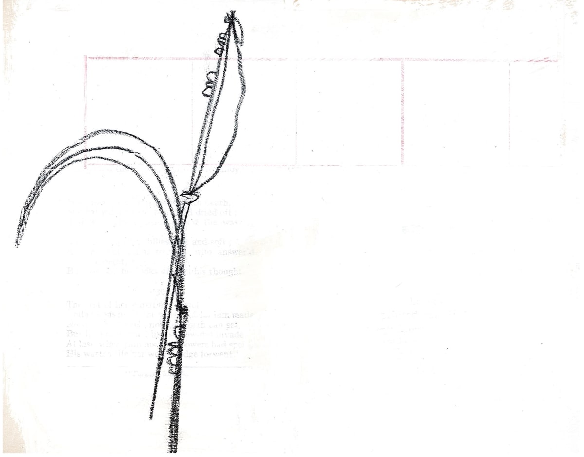 Organic, series on book pages (9 pieces)  Image: 006,  branch on japanese paper
