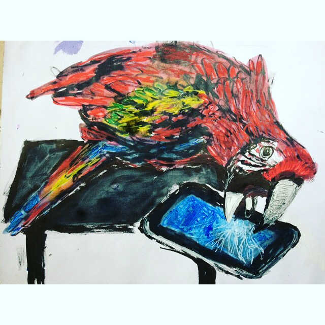 Parrot smashes smart phone by Fflur Donnghaile 