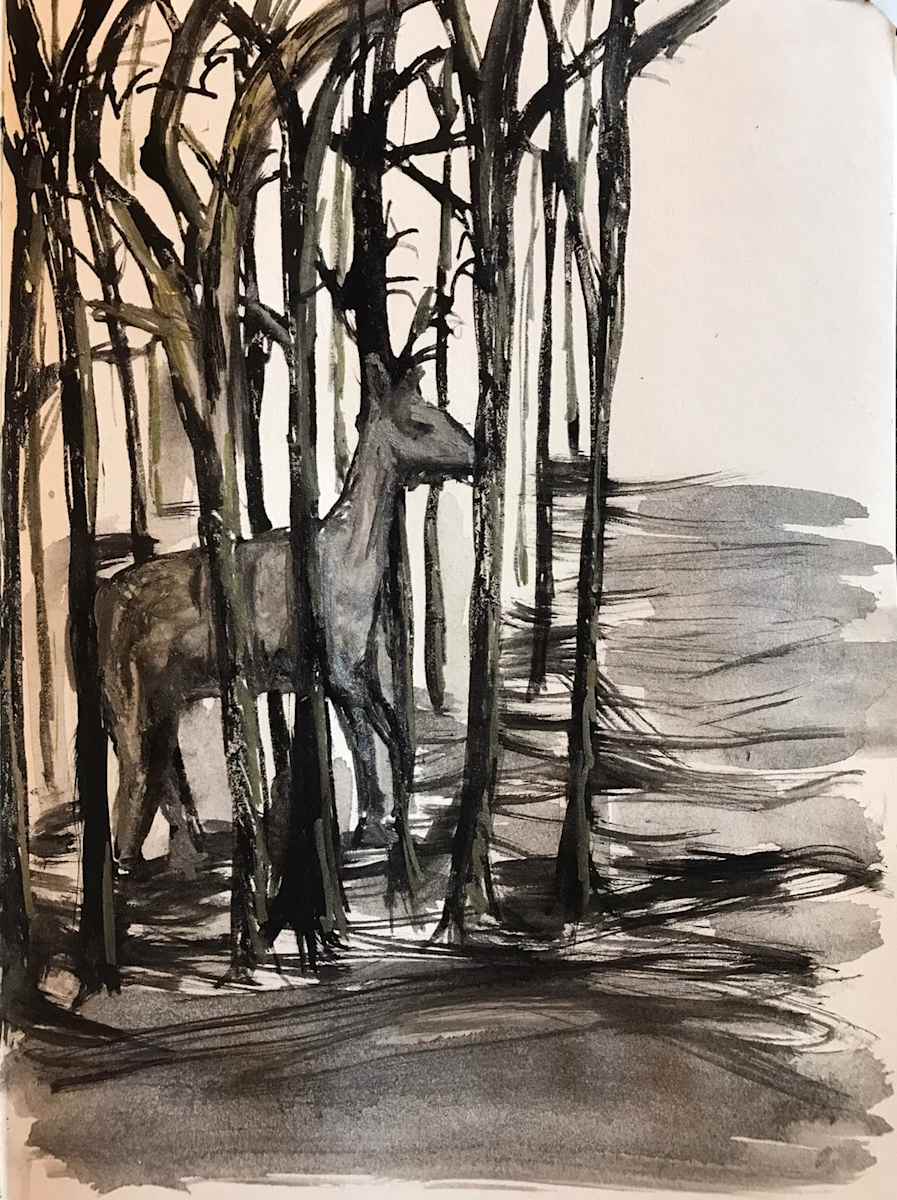 Fianna sa choill by Fflur Donnghaile Mac Siacais 