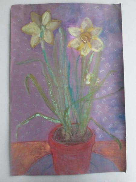 Daffodils, Image 1.