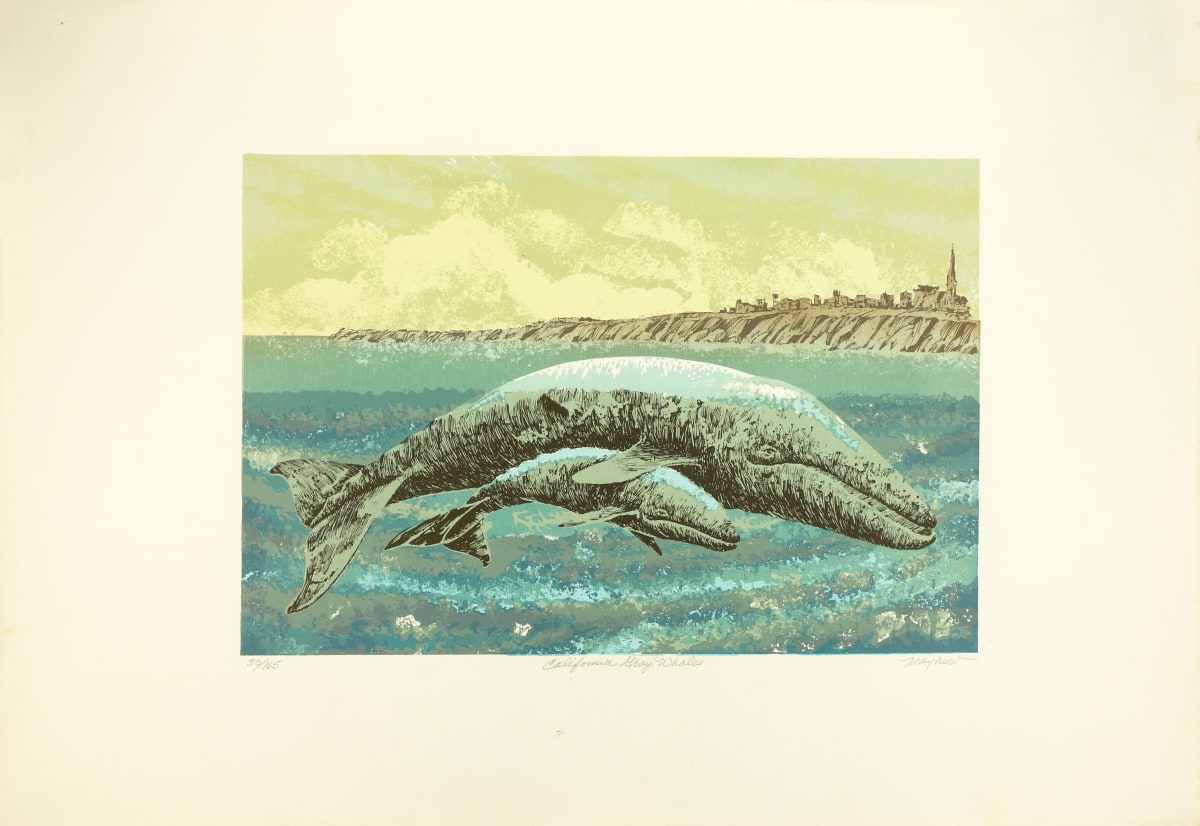 California Gray Whales    no. 30/165 by J.D. Mayhew 