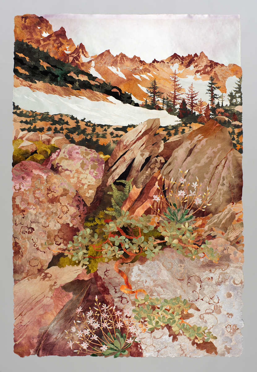 “Rock Crevice, Cascade Mountains” by Amanda Richardson, Image 1.