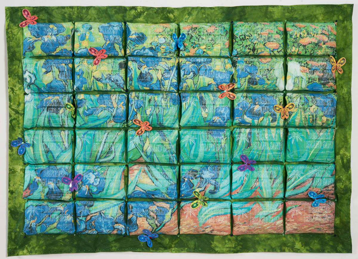 Vincent's Irises & The Universe by John Lefelhocz 