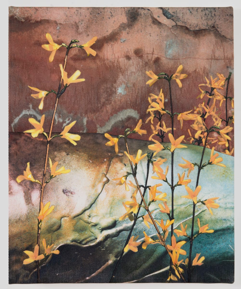 Forsythia Series “B” by Deborah Melton Anderson 