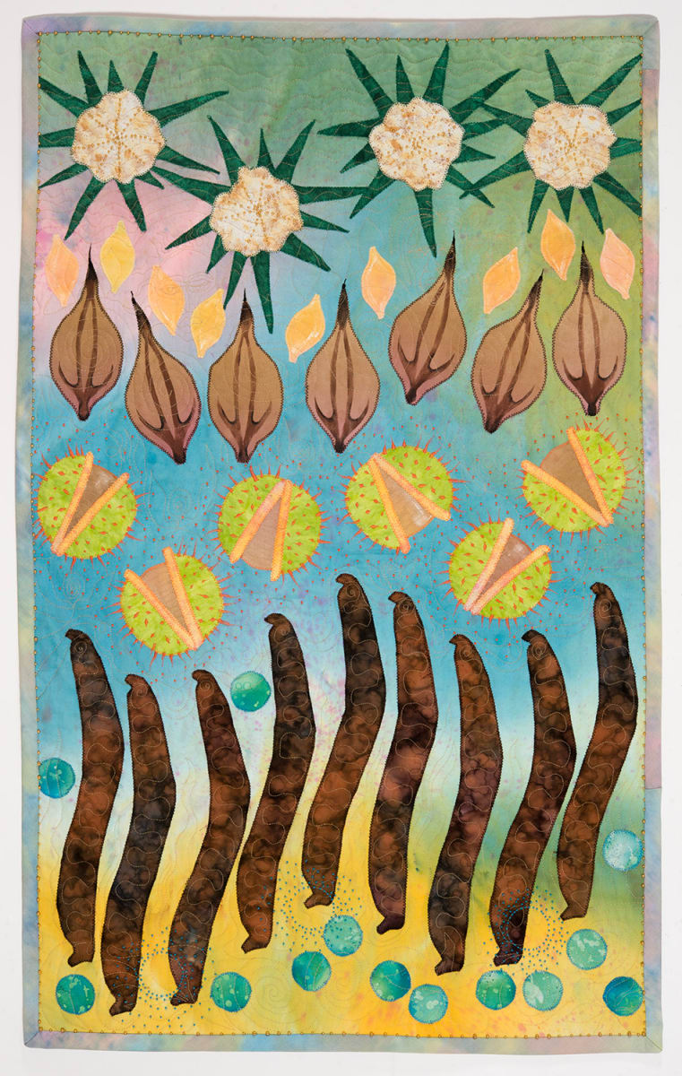 Seeds and Pods by Maggie Bates 