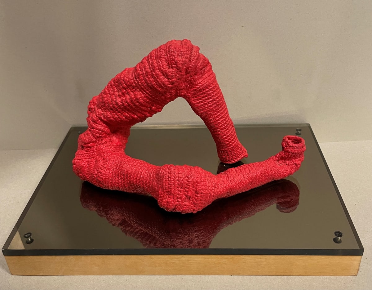 Red Legs by Barbara Shawcroft 