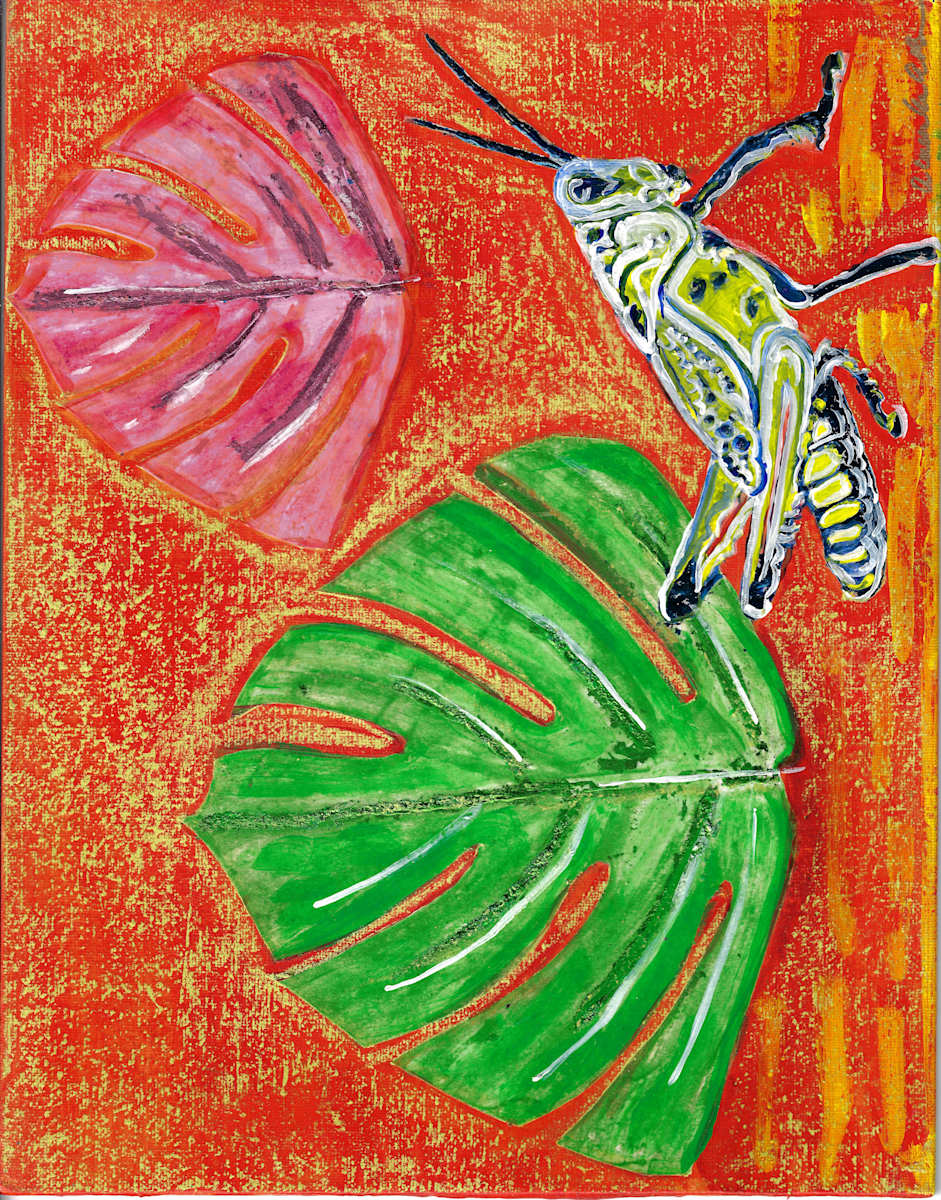 Monstera Grasshopper 1, Image 1.