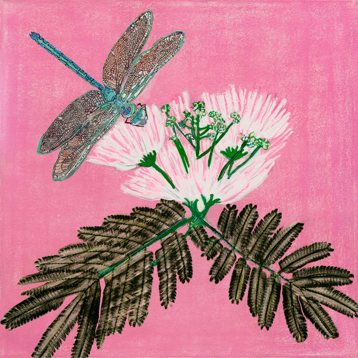 Dragonfly on Mimosa in Pink by Alexandra Anderson Bower 