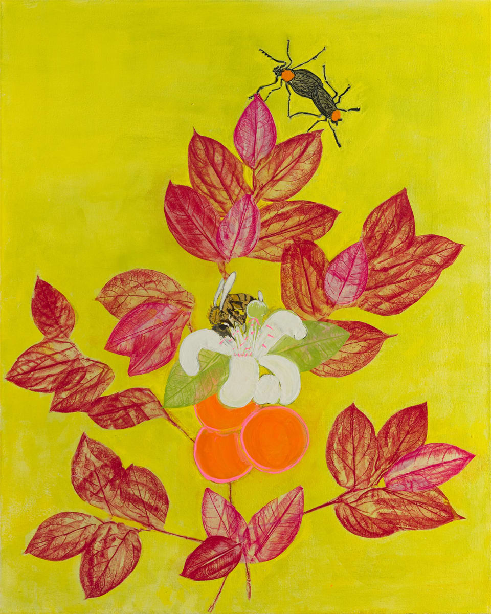 Orange Citrus with Pink by Alexandra Anderson Bower 