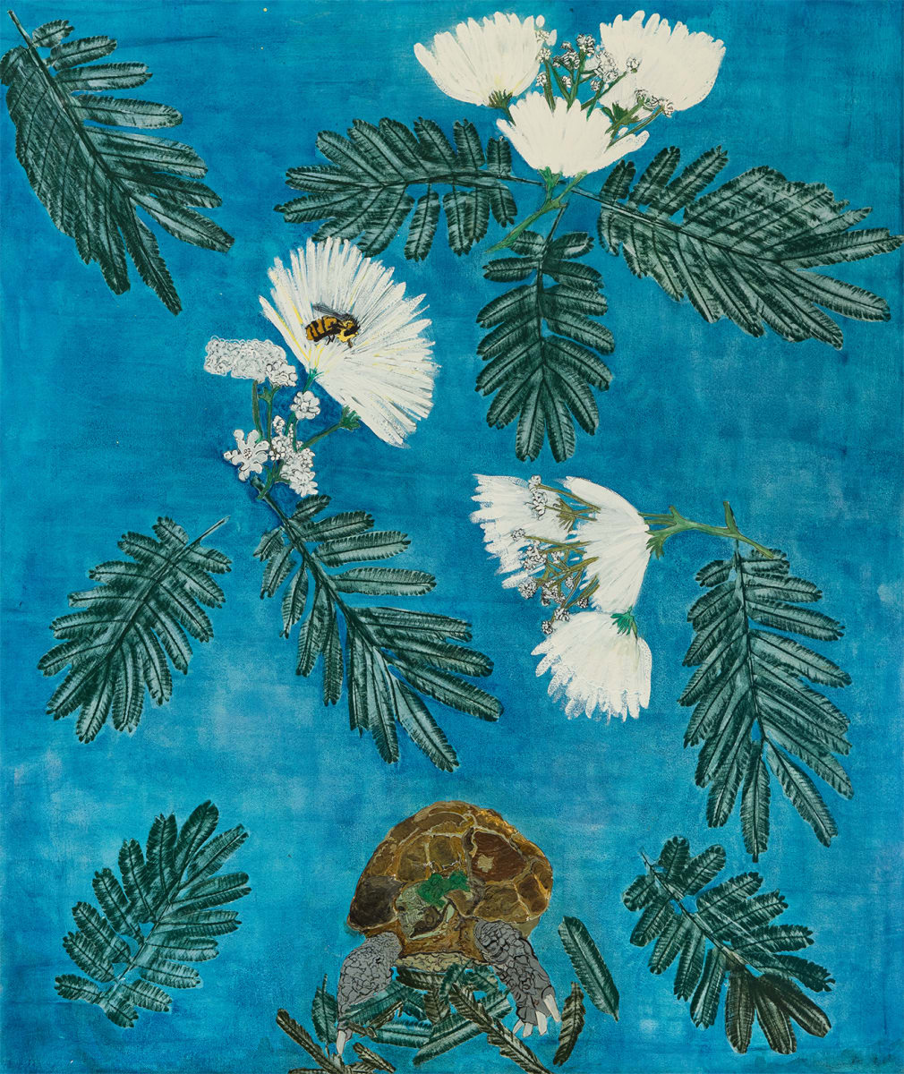 Under the Mimo Tree by Alexandra Anderson Bower 