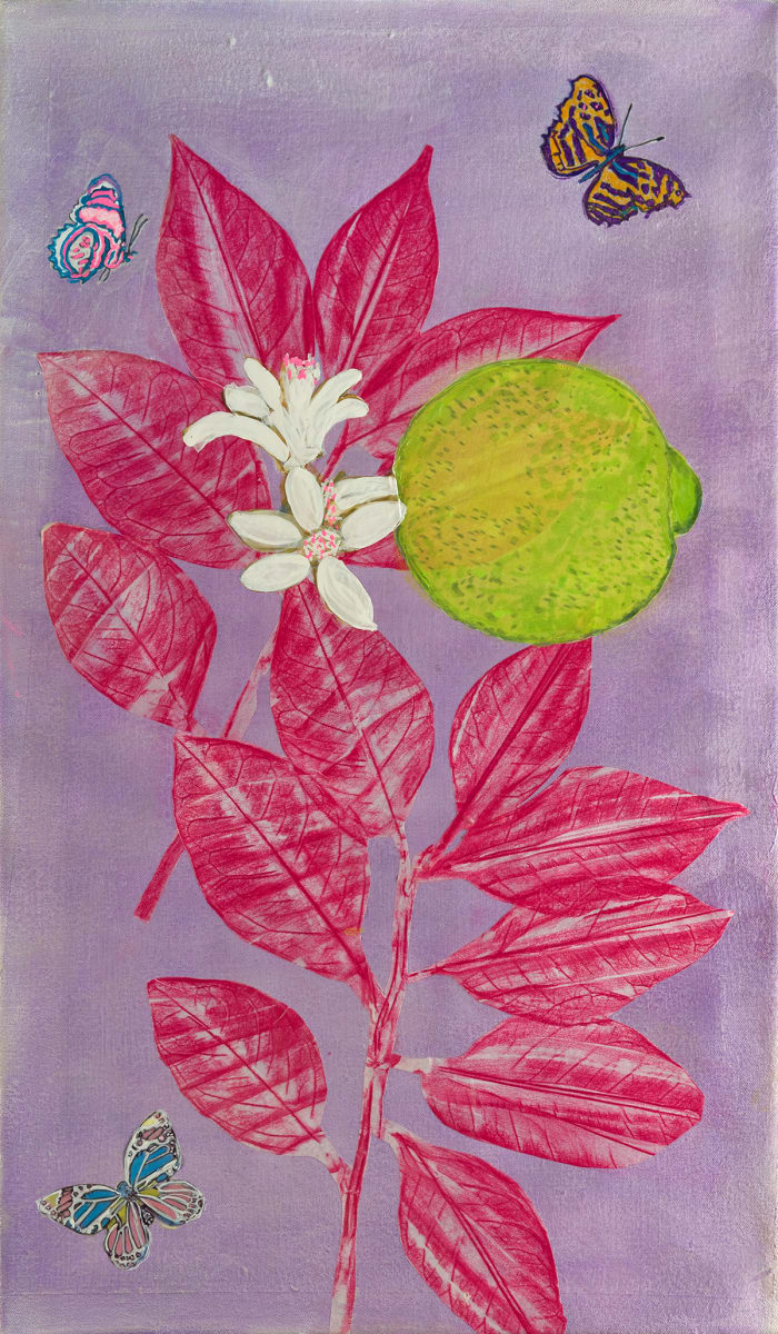 Limeade with Butterflies I * by Alexandra Anderson Bower 
