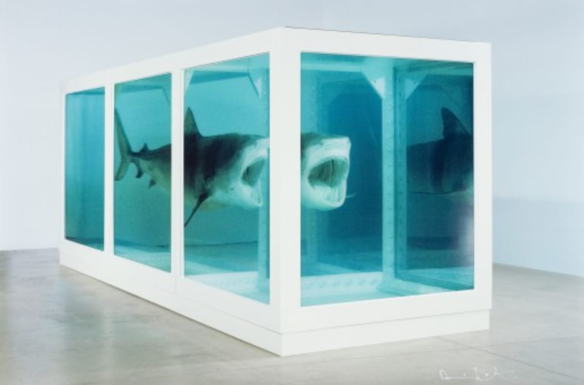 The Physical Impossibility of Death in the Mind of Someone Living by Damien Hirst 