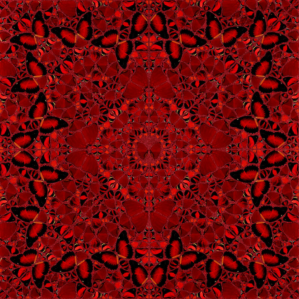 Nūr Jahān by Damien Hirst 