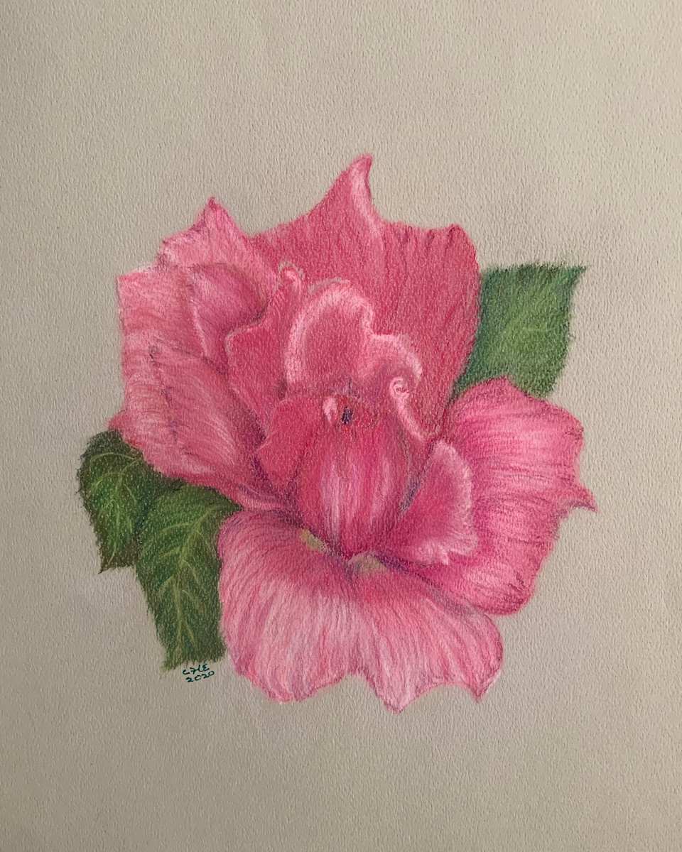 The Rose by Charlotte Humes, Image 1.