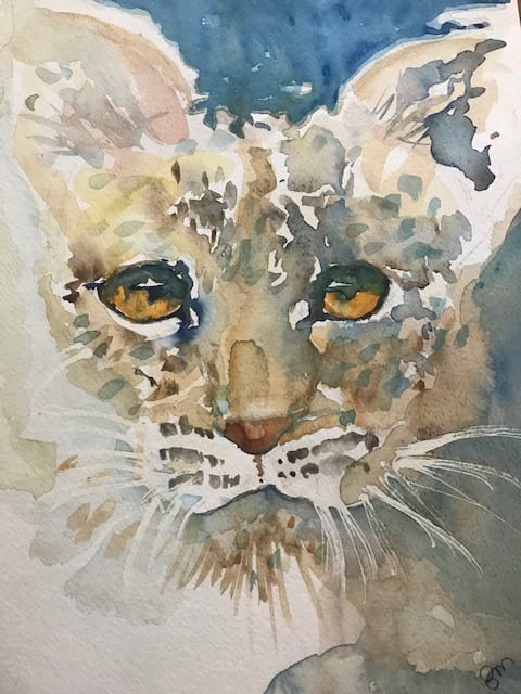 Leopard by Barbara McDonnell 