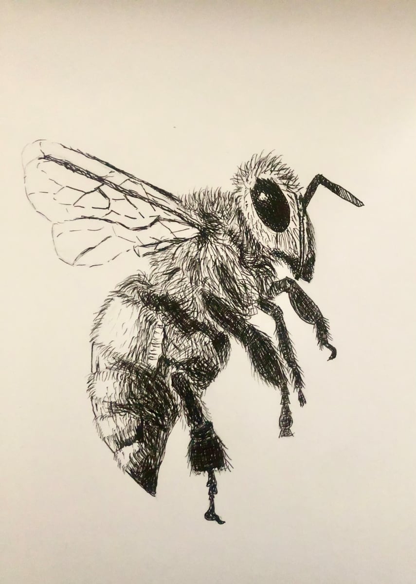 Buzzing Bee by Colette Paoli 