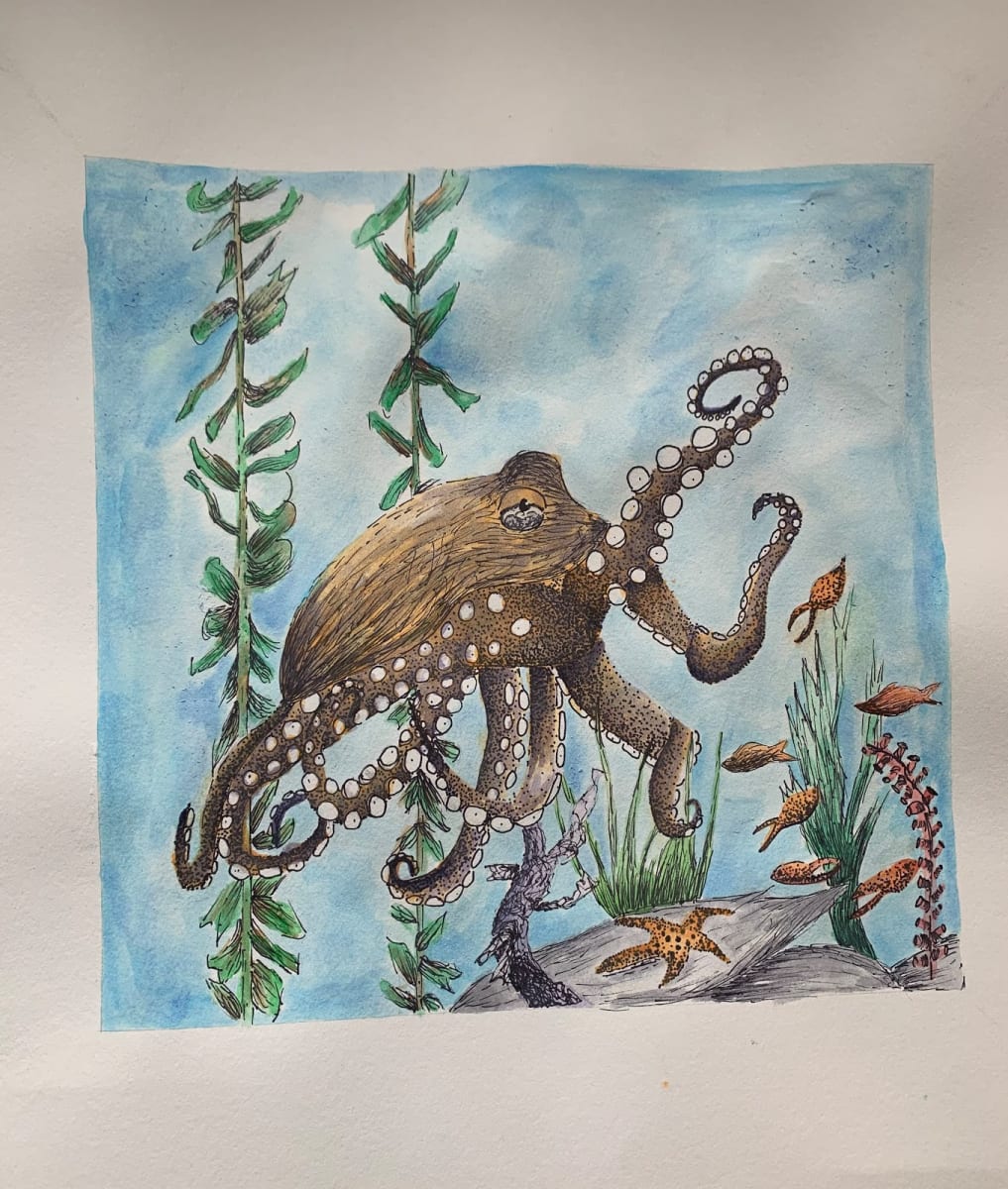 Octopus's Garden by Mira Parejo 