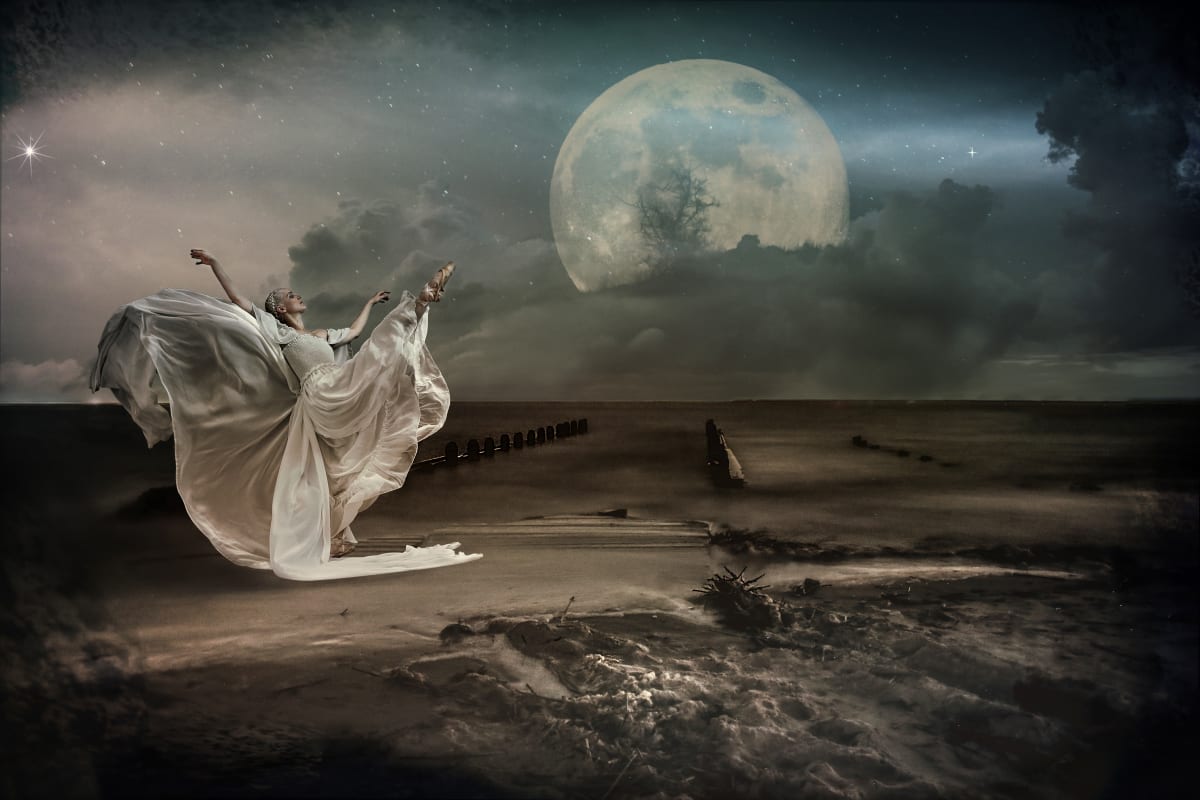 Dancing by the Light of the Moon by Bonnie Rovere 