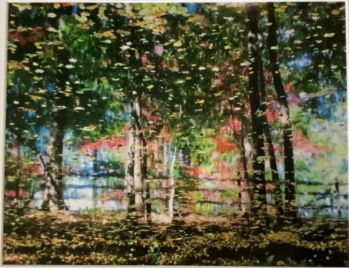 Haddon Lake Reflections by Anna Samat, Image 2.