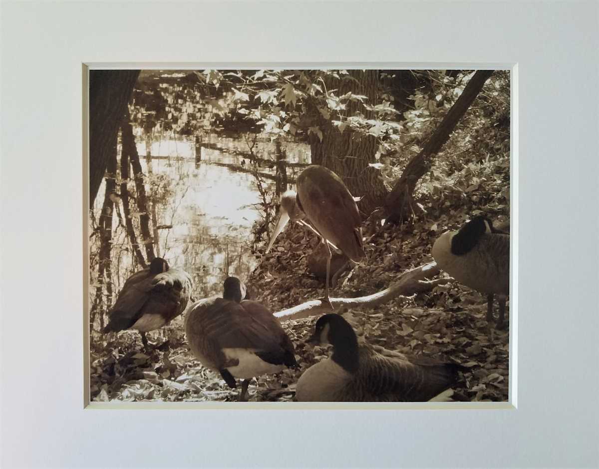 Morning Yoga by Anna Samat, Image 1.