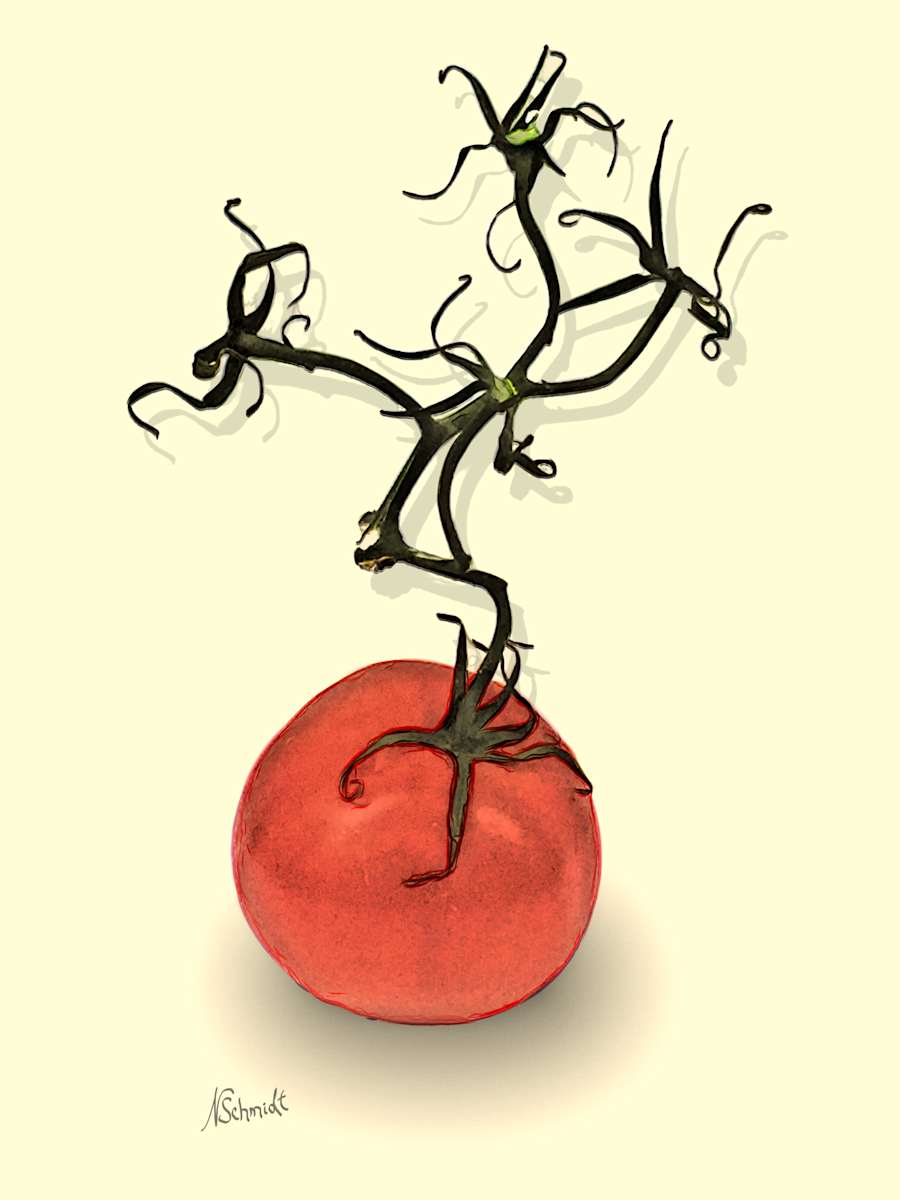 One Tomato by Nancy Schmidt, Image 2.