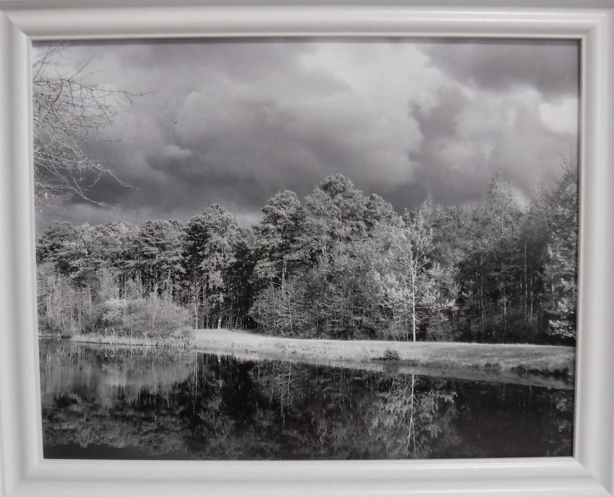 Storm by Sandra Schwartz, Image 1.