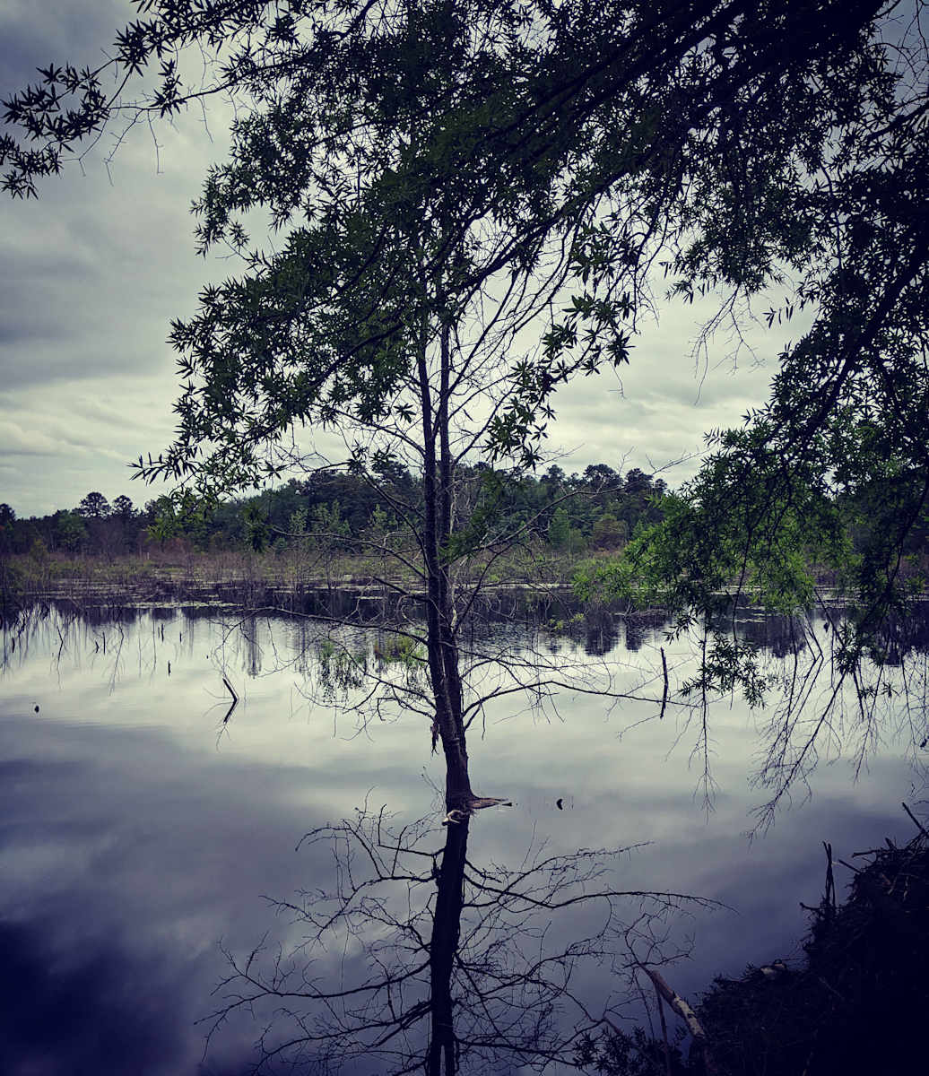 Quiet Reflection by Abby Zahn, Image 2.
