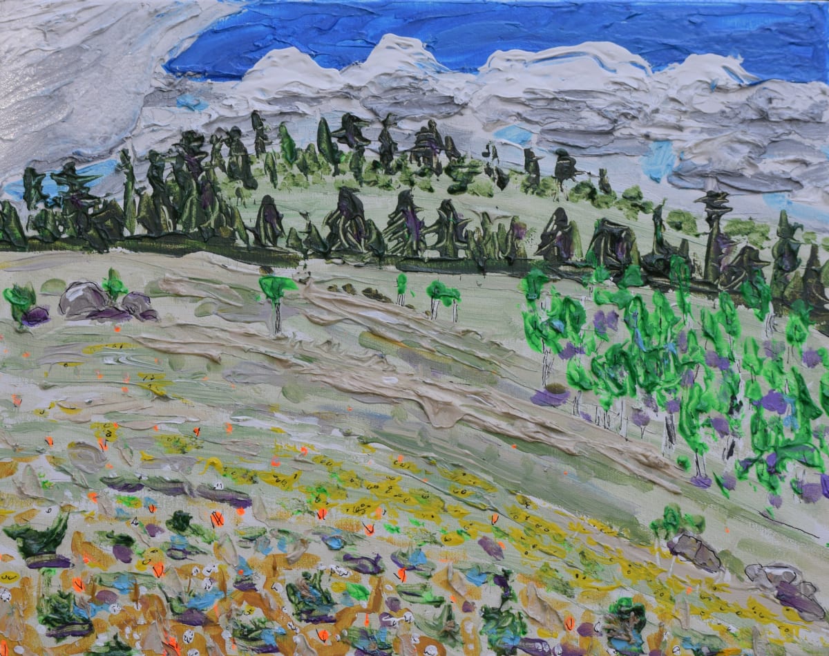 Colorado Vision Fast, Image 1.