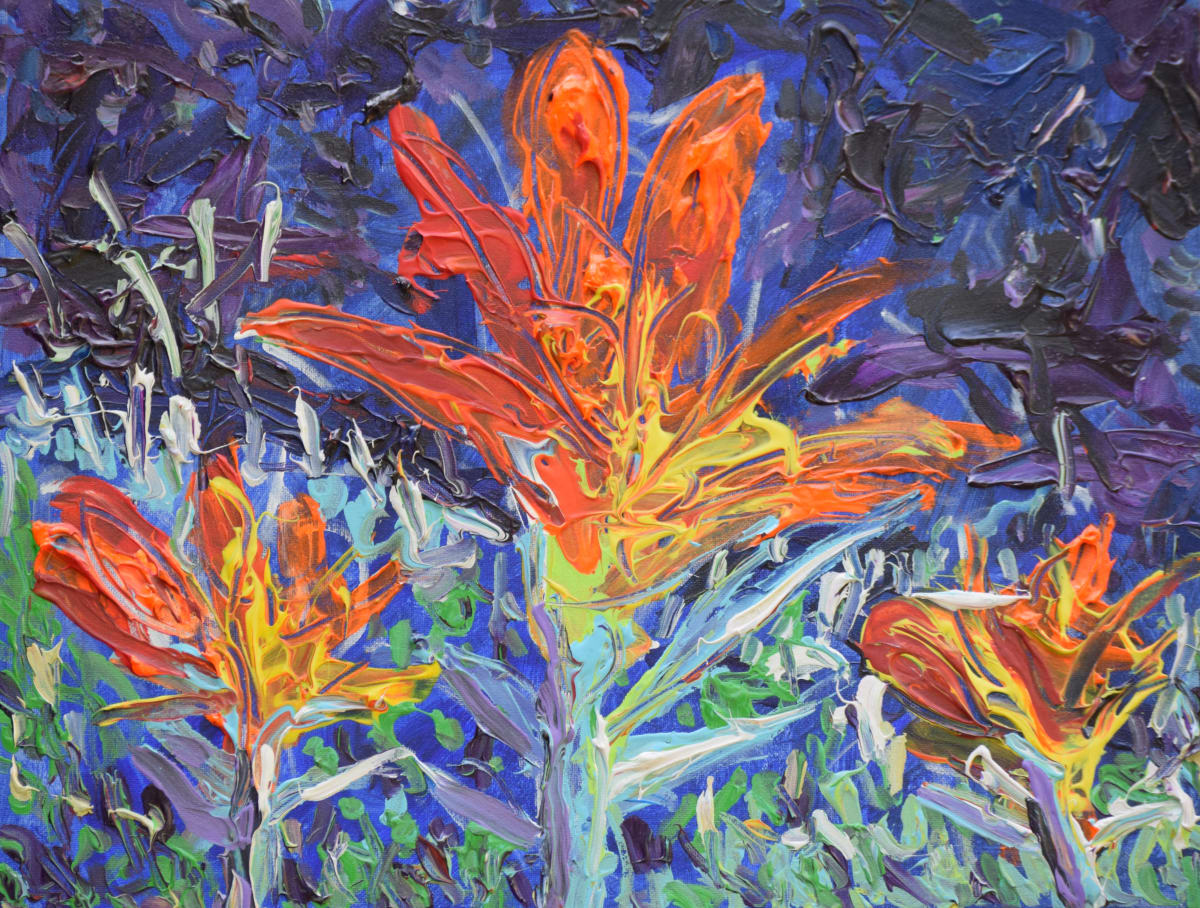 Colorado Vision Fast 