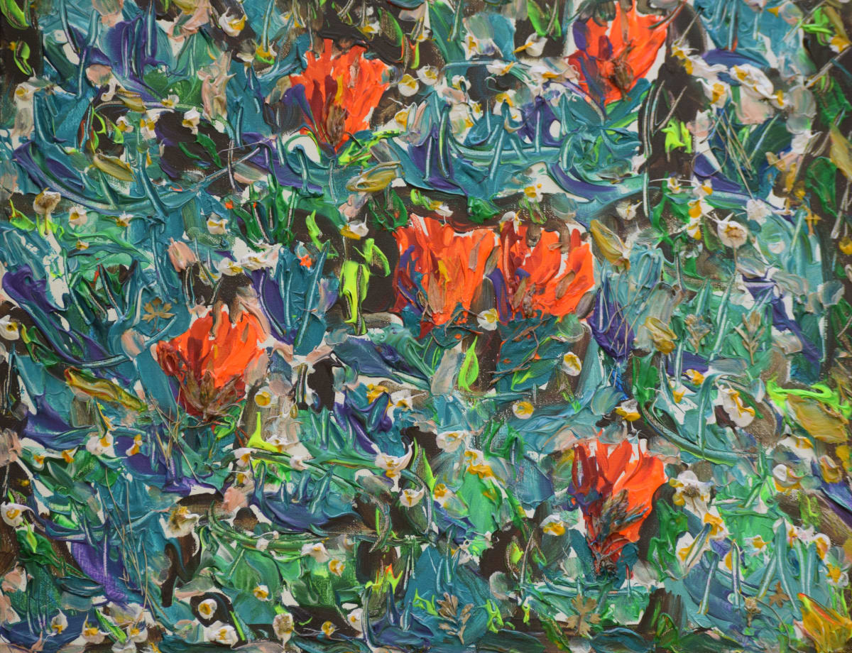 Colarado Vision Fast 