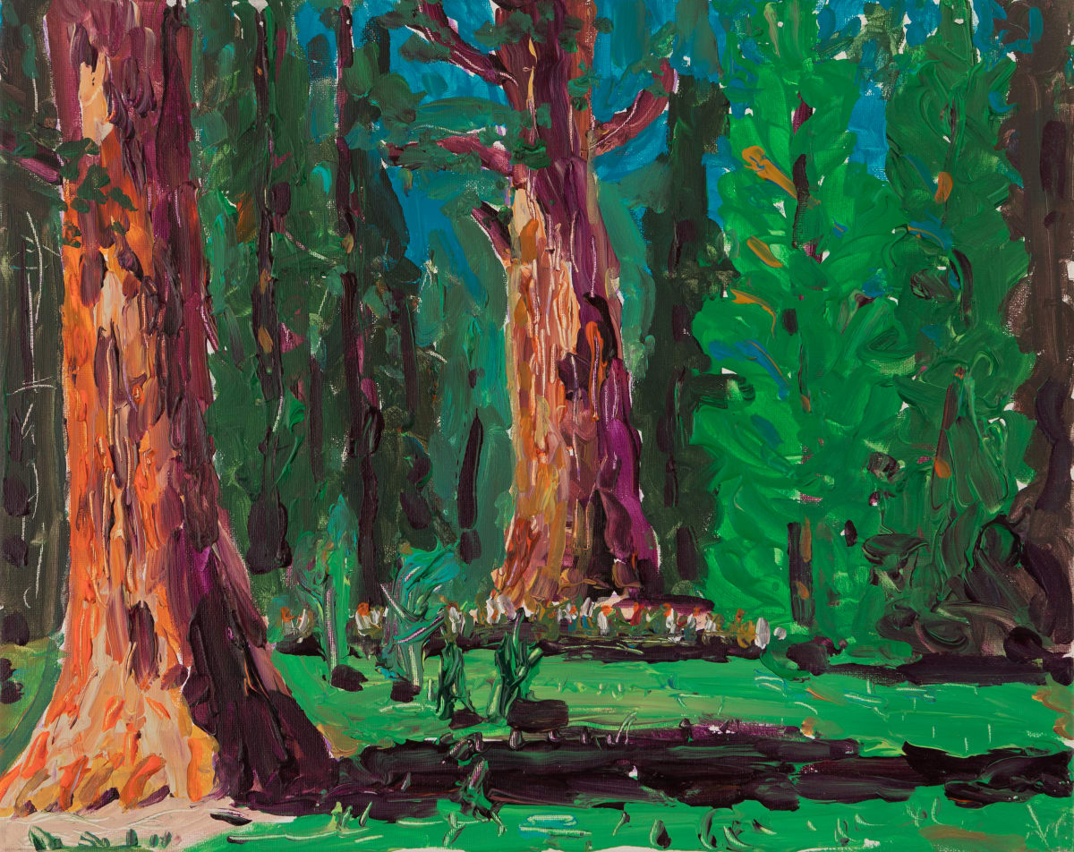 Sequoia National Park by Ken Gorczyca 