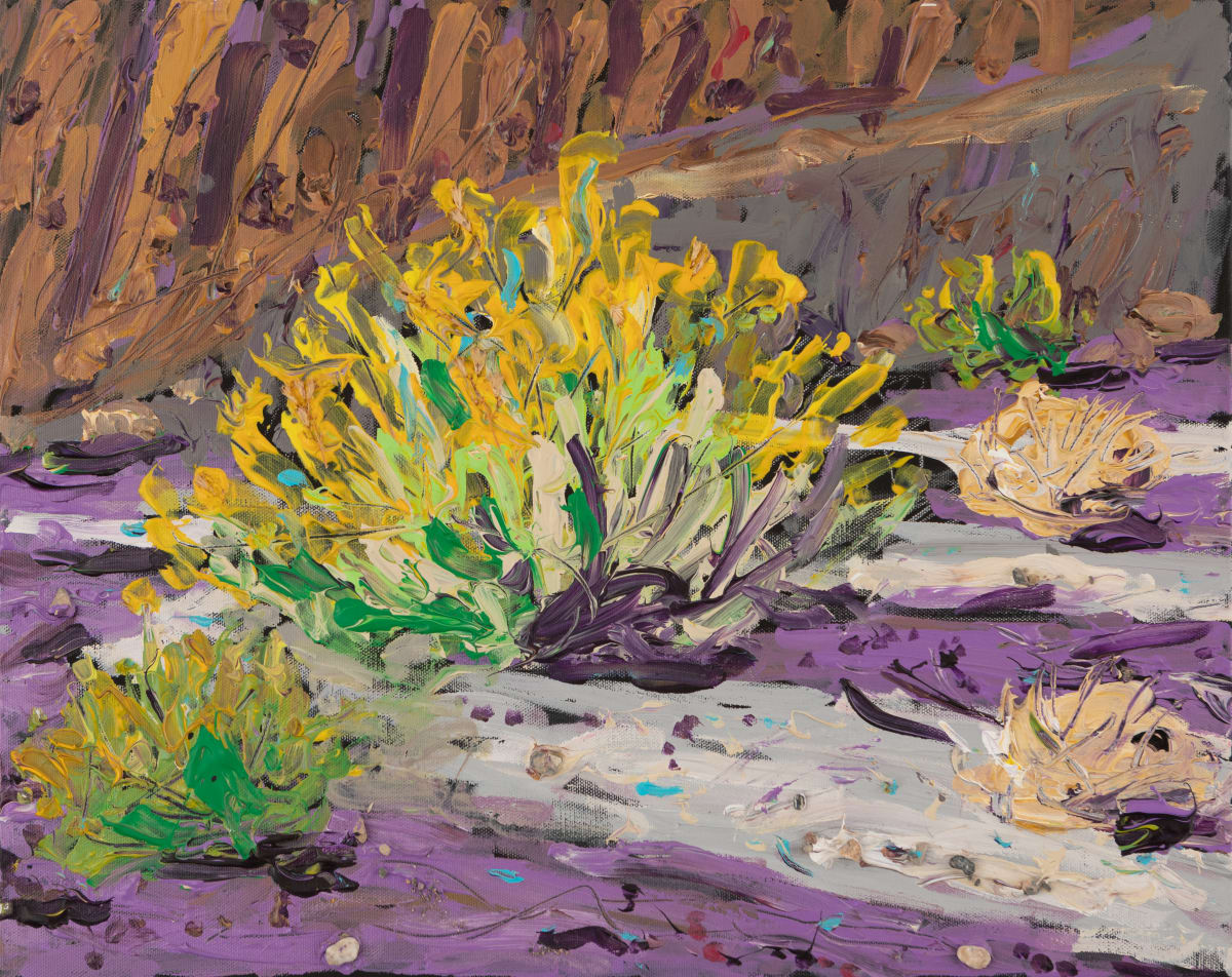 Burning Bush, Death Valley by Ken Gorczyca 