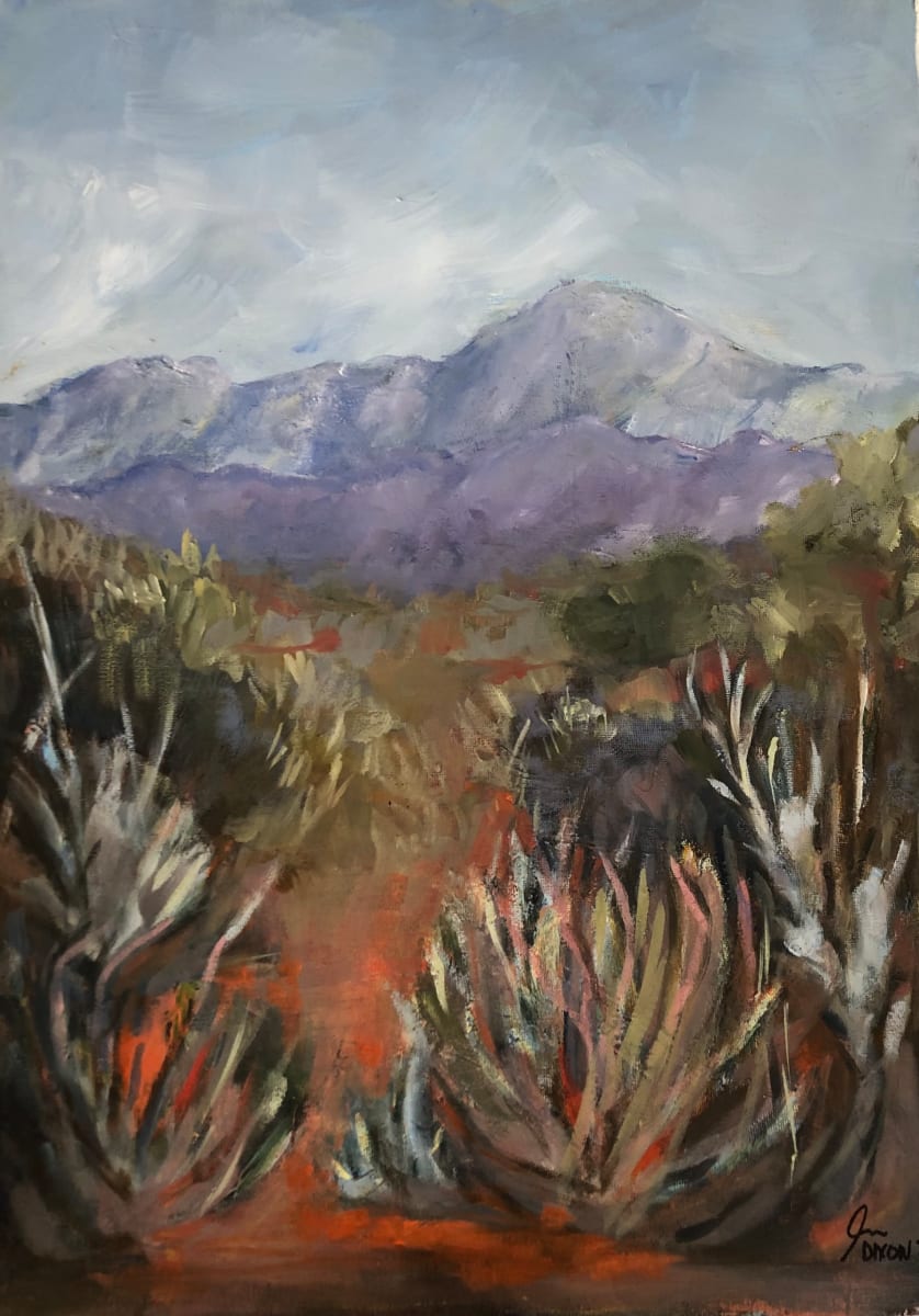 Path Towards The Swartberg by Janet Dixon 