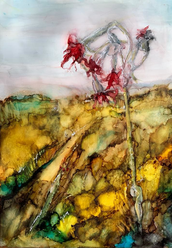 Fields of Dreams by Janet Dixon 