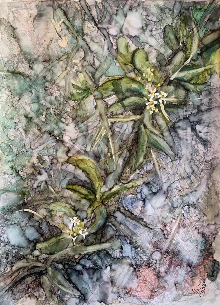Flowery Tongues and Thorny Throats by Janet Dixon 