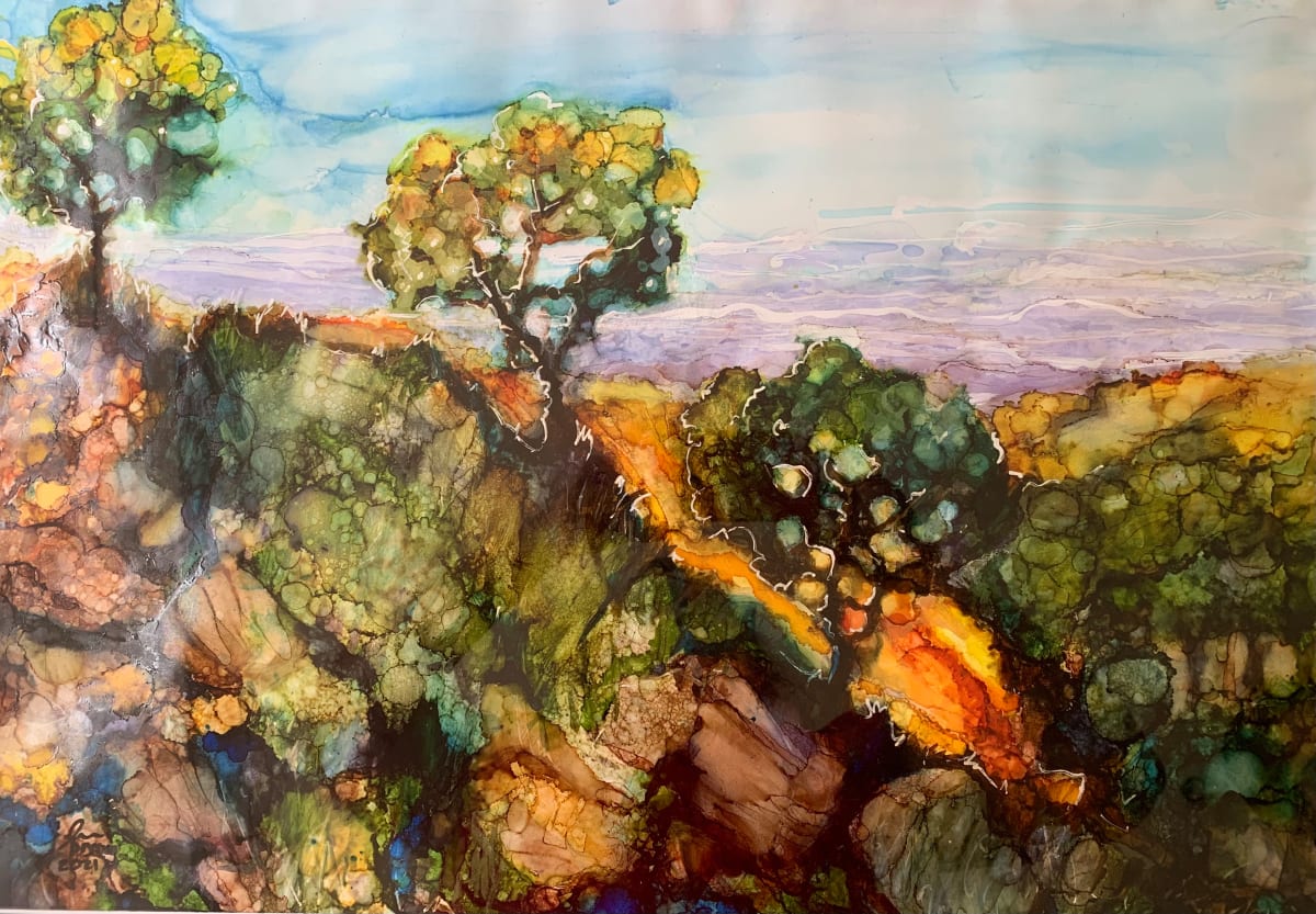 Magaliesberg by Janet Dixon 