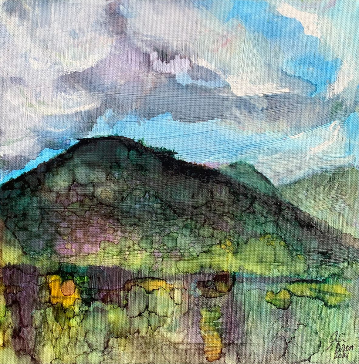 Gratitude: How Green is my Valley by Janet Dixon 