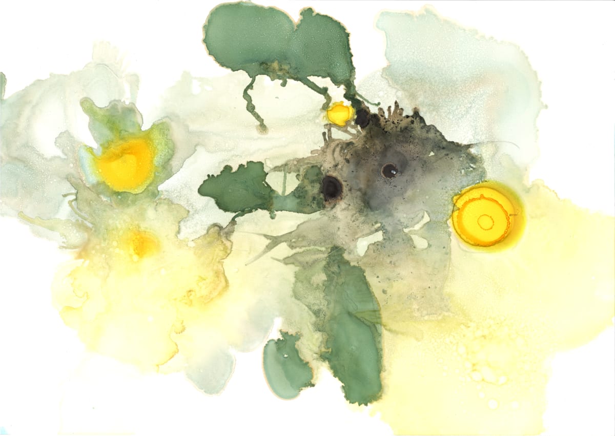Spring Fields by Janet Dixon 