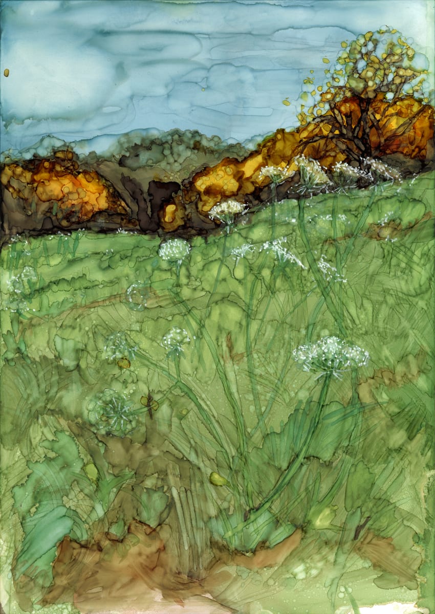 Autumn fields 